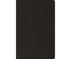 KNYGA Bookshop ESV Preaching Bible, Verse-by-Verse Edition