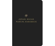 KNYGA Bookshop ESV Scripture Journal