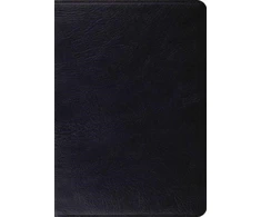 KNYGA Bookshop ESV Study Bible, Indexed