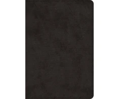 KNYGA Bookshop ESV Super Giant Print Bible