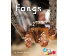 KNYGA Bookshop Fangs