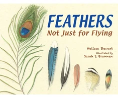KNYGA Melissa Stewart Feathers