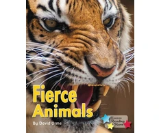 KNYGA Bookshop Fierce Animals
