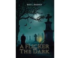 KNYGA Bookshop Flicker in the Dark