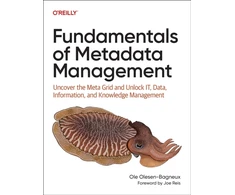 KNYGA Bookshop Fundamentals of Metadata Management
