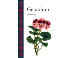 KNYGA Reviews Editor Boddy Kasia Geranium