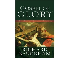 KNYGA Bookshop Gospel of Glory – Major Themes in Johannine Theology