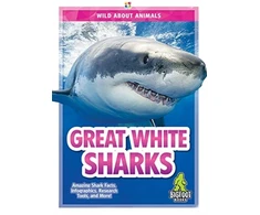 KNYGA Martha London Great Baltas Sharks