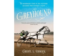 KNYGA Bookshop Greyhound