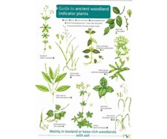 KNYGA Bookshop Guide to Ancient Woodland Indikatorius Plants
