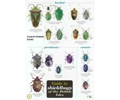 KNYGA Bookshop Guide to Shieldbugs of the British Isles