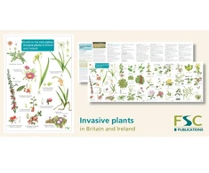 KNYGA Rebecca Farley Brown Guide to the non-native invasive plants of Britain and Ireland