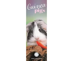 KNYGA Bookshop Guinea Pigs Slim Calendar 2026