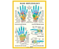 KNYGA Bookshop Hand Reflexology -- A2