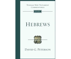 KNYGA David G Peterson Hebrews