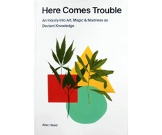 KNYGA Bookshop Here Comes Trouble
