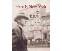 KNYGA Bookshop Here Is New York