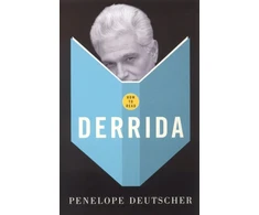 KNYGA Bookshop How To Read Derrida
