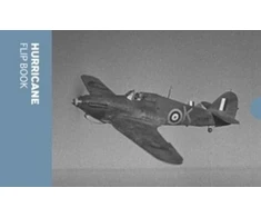 KNYGA Bookshop Hurricane Flip Book