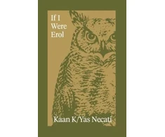 KNYGA Bookshop If I Were Erol