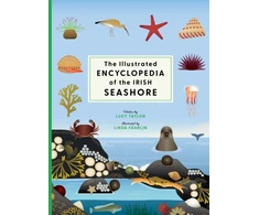 KNYGA Lucy Taylor The Illustrated Encyclopedia of the Irish Seashore