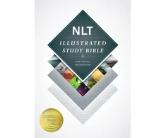 KNYGA Bookshop Illustrated Study Bible-NLT