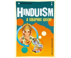 KNYGA Bookshop Introducing Hinduism