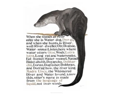 KNYGA Bookshop Jackie Morris Poster: Names of the Otter, The