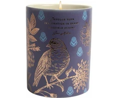 KNYGA Bookshop Jane Austen: Indulge Your Imagination Scented Candle (8.5 oz.)