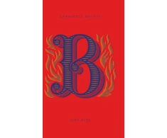 KNYGA Bookshop Jane Eyre
