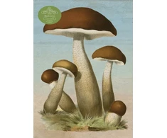 KNYGA John Derian Paper Goods: Mushrooms 1,000-Piece Puzzle