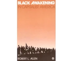 KNYGA Robert Allen Juodas Awakening in Capitalist America: An Analytical History