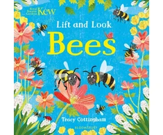 KNYGA Bookshop Kew: Lift and Look Bees