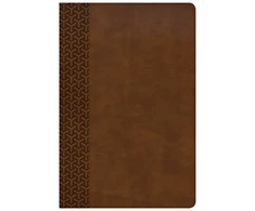 KNYGA Bookshop KJV Everyday Study Bible, British Tan LeatherTouch