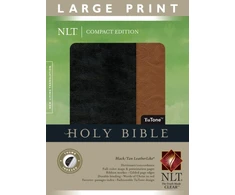 KNYGA Bookshop Large Print Compact Bible-NLT