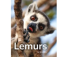 KNYGA Bookshop Lemurs