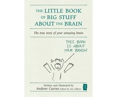 KNYGA Bookshop Little Book of Big Stuff about the Brain