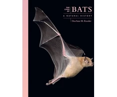 KNYGA Bookshop Lives of Bats