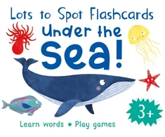 KNYGA Becky Miles Lots to Spot Flashcards: Under the Sea!