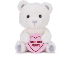 KNYGA Bookshop Love Hearts 9" Love You Always Bear Plush Gift