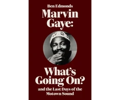 KNYGA Bookshop Marvin Gaye