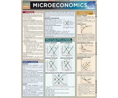 KNYGA Bookshop Microeconomics