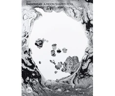 KNYGA Bookshop Moon Shaped Pool