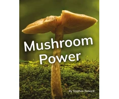 KNYGA Bookshop Mushroom Power