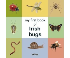 KNYGA Bookshop My First Book of Irish Bugs