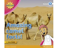 KNYGA Kate Riddle My Gulf World and Me Level 3 non-fiction reader: Amazing camel facts!