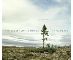 KNYGA Rachel Sussman Oldest Living Things in the World