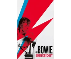 KNYGA Simon Critchley On Bowie