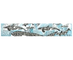 KNYGA Nicola Davies Orcas Card