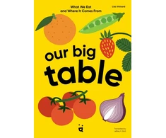 KNYGA Lisa Voisard Our Big Table